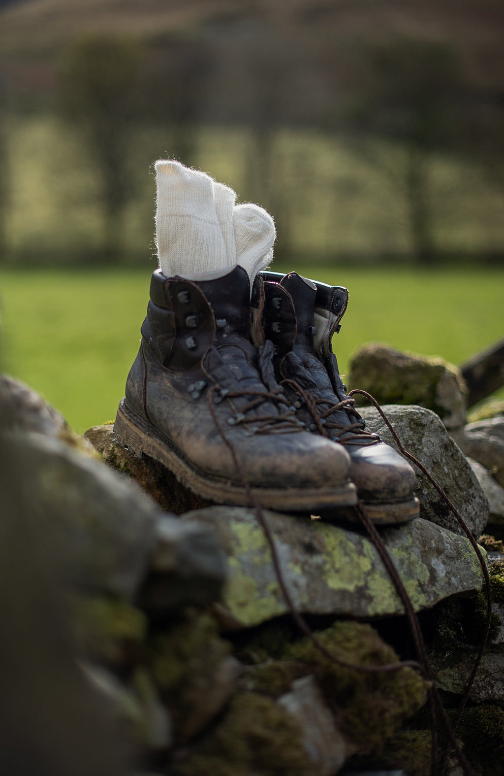 Alpaca Cushion Sole Walking Socks