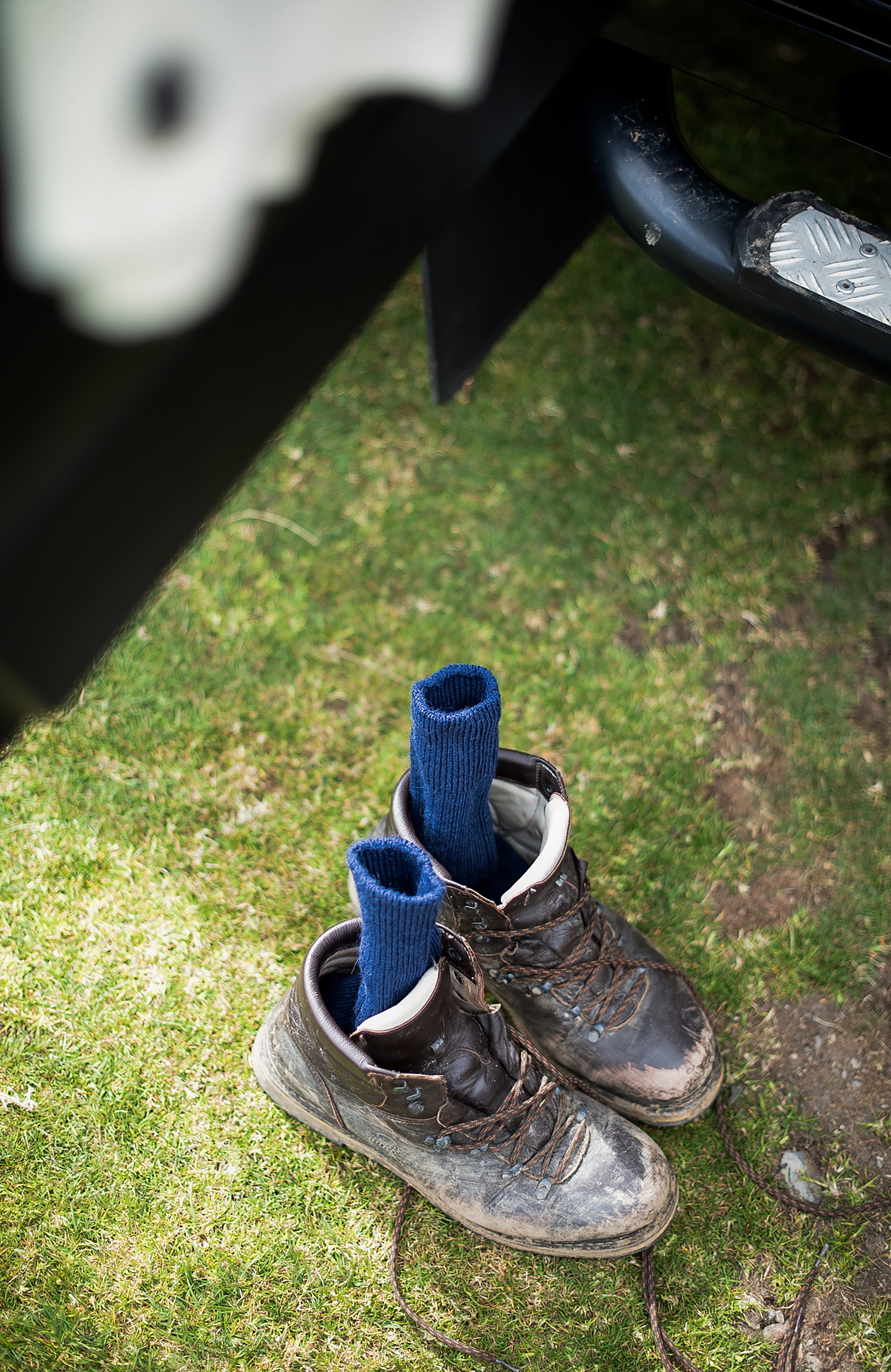 Alpaca Cushion Sole Walking Socks