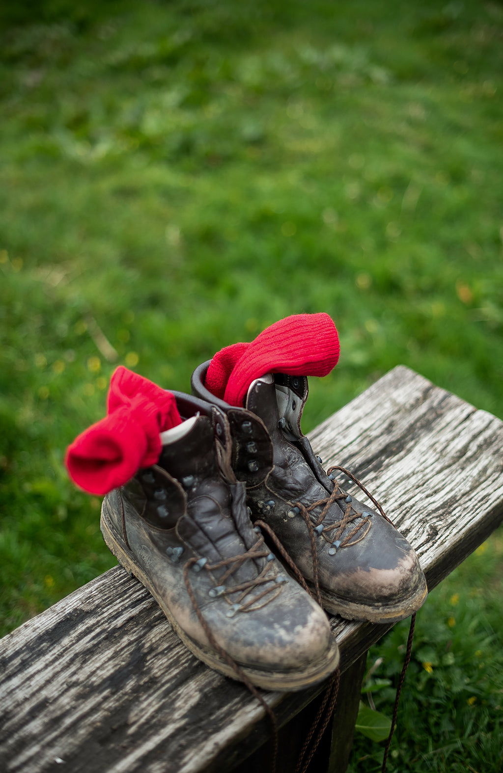 Alpaca Cushion Sole Walking Socks