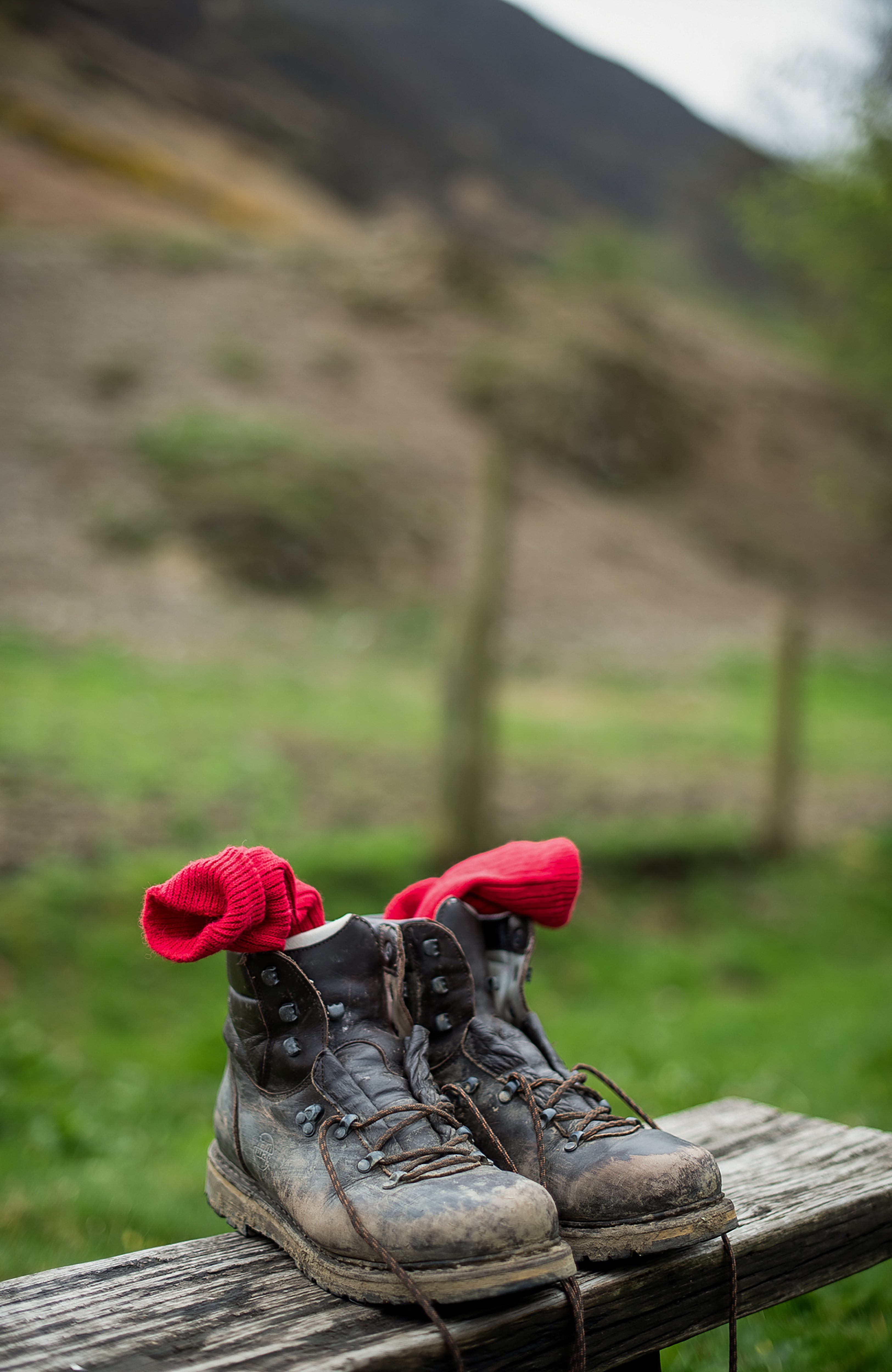 Alpaca Cushion Sole Walking Socks