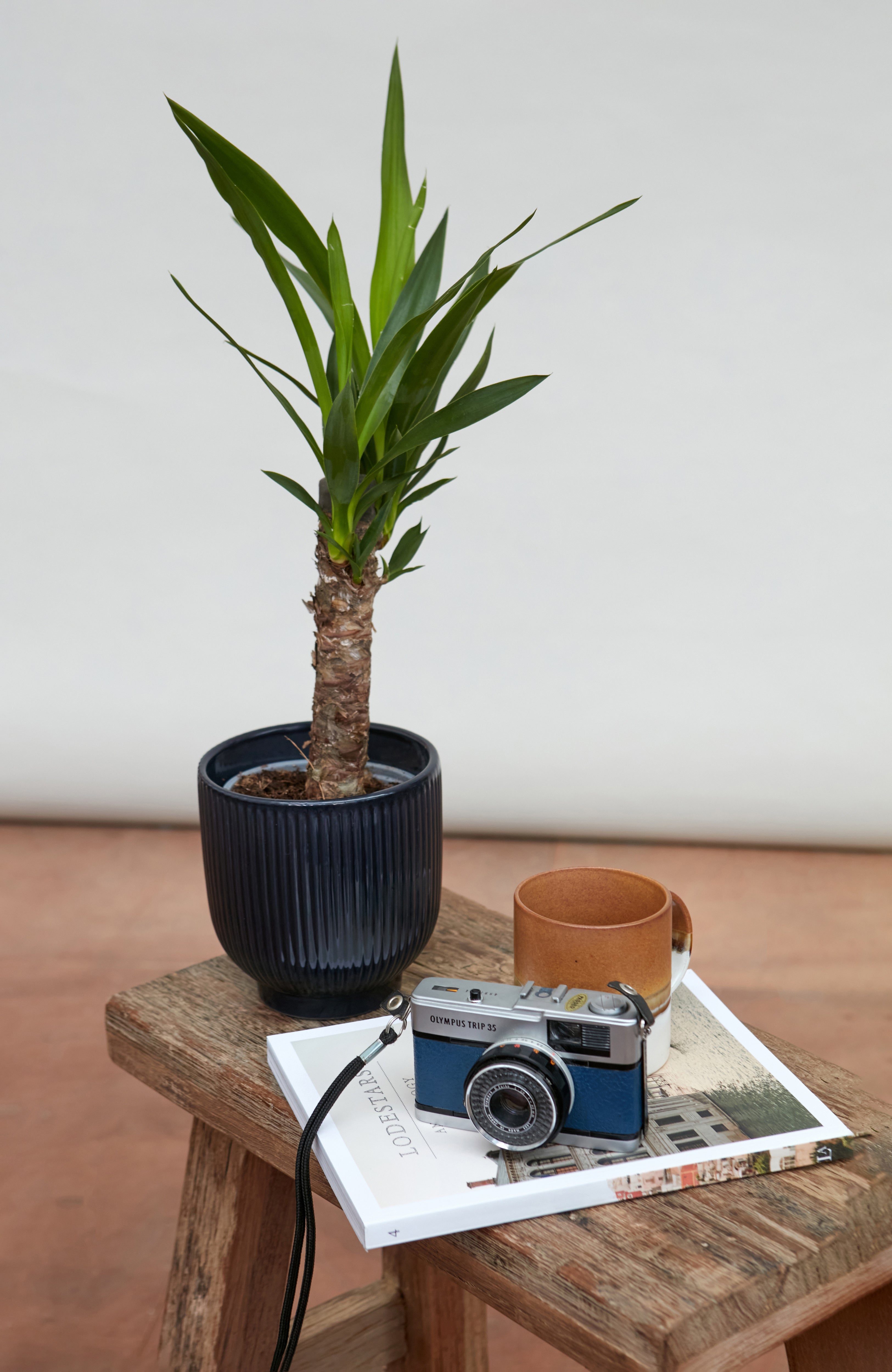 Womens Lambswool Crew Neck Cardigan